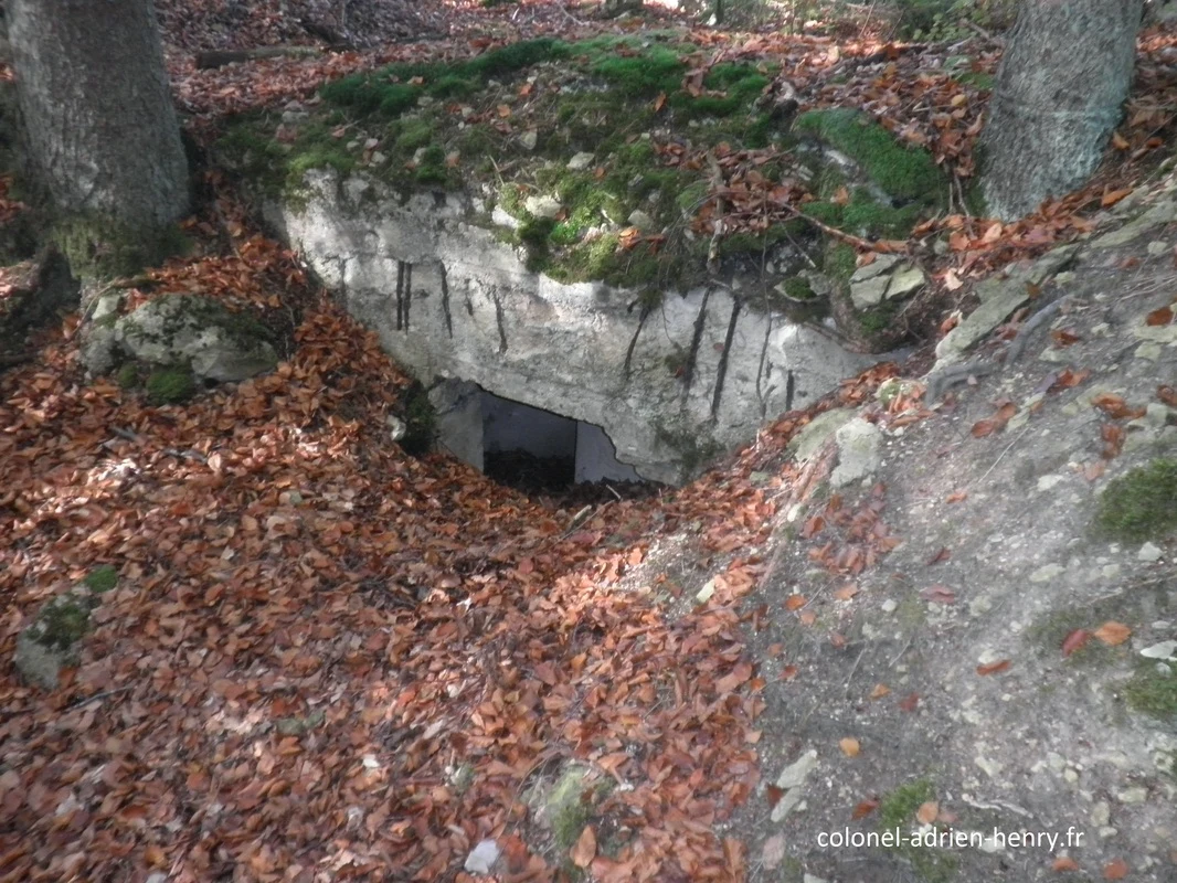 Vestiges de tranchées allemandes dans le bois de Spada