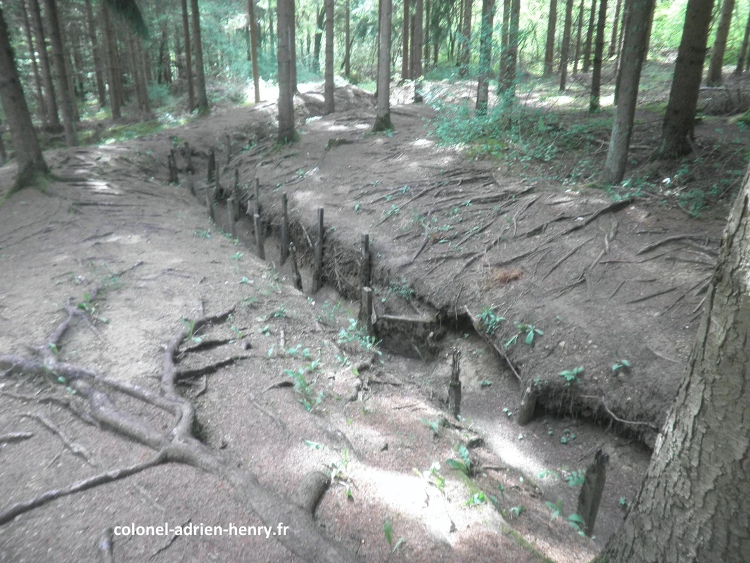 Boyau de tranchée menant au front
