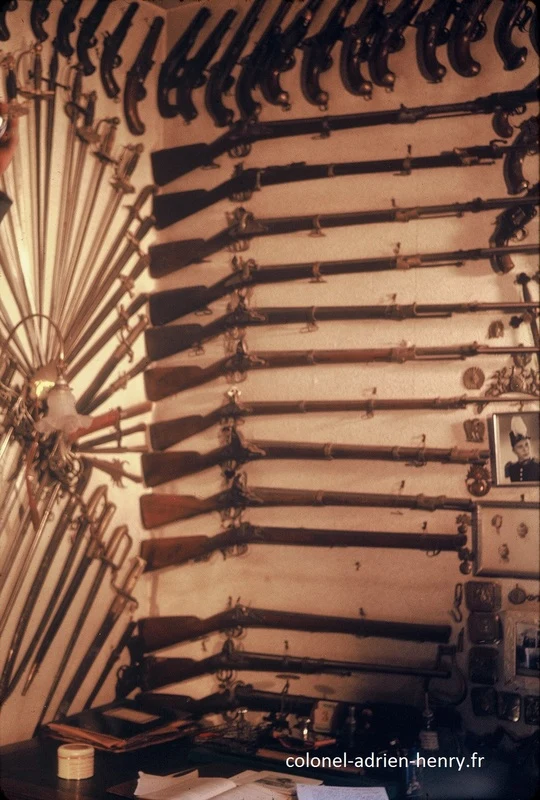 Collection de plus de 1000 armes